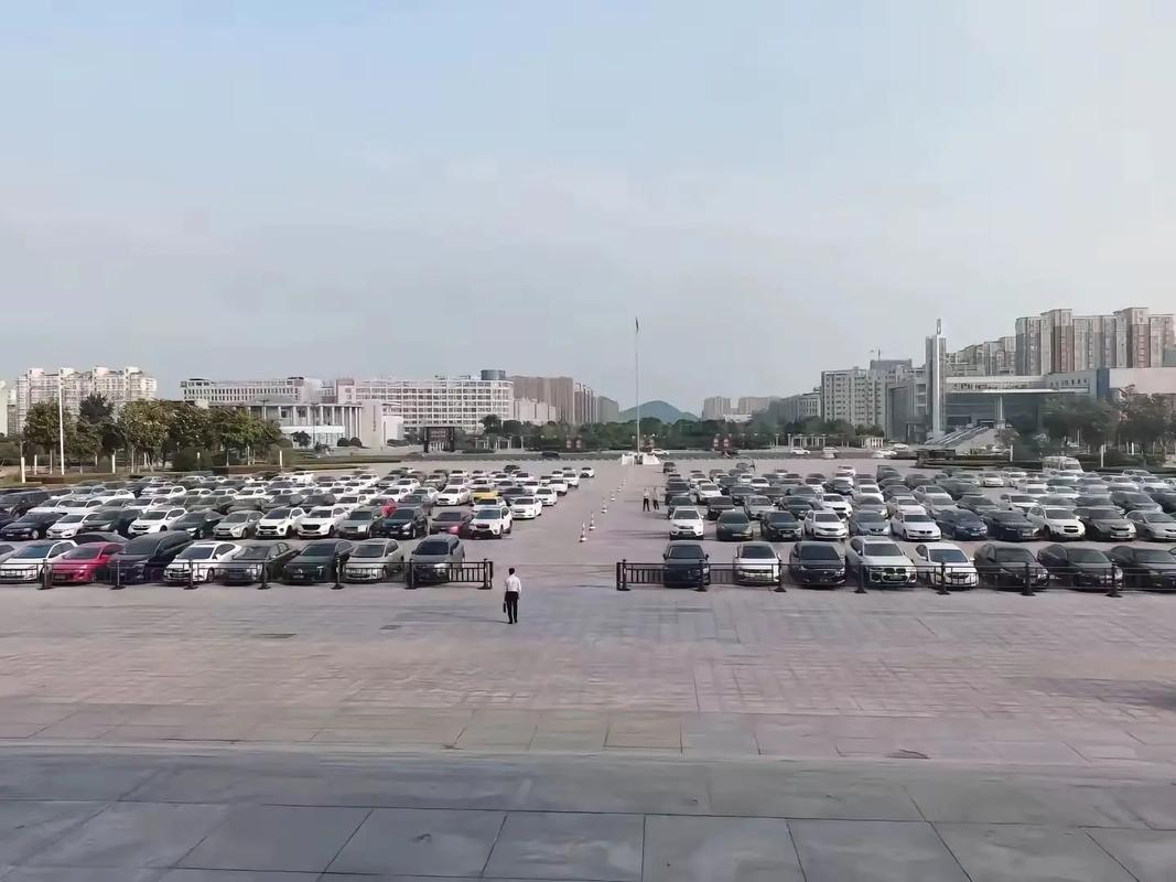 市政府翻譯服務(wù) 助力商務(wù)溝通與跨域合作